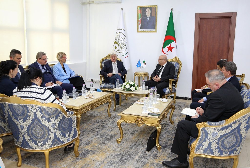 UNICEF Interested in Acquiring Algerian Children's Medicines and Vaccines