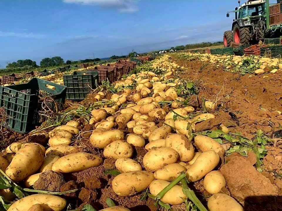 University Laboratories for Agricultural Analyses for the Benefit of Farmers