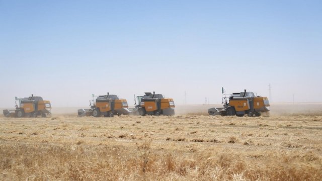 Very Positive Outcome of the Harvest and Threshing Campaign