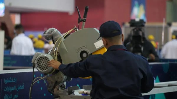 What is the Employment Rate of Vocational Training Graduates in Algeria?